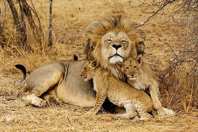 The Top Rated 6-Day Serengeti Budget Camping Safari in Tanzania - What the $1,539 price really covers