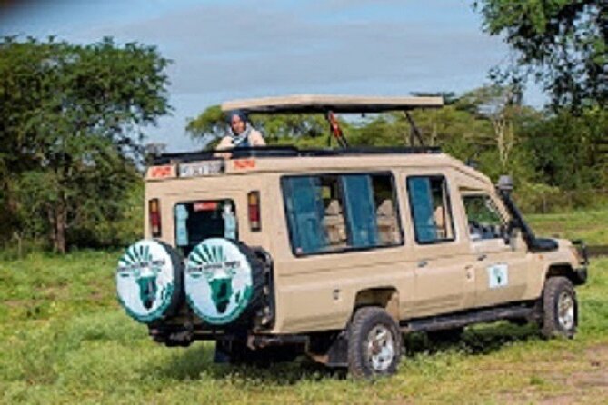The Top Rated 6-Day Serengeti Budget Camping Safari in Tanzania - Food, water, safety, and daily comfort