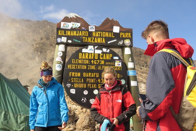 The Ultimate 8-day Lemosho route Climbing Kilimanjaro - Day 3: Shira 1 to Shira 2