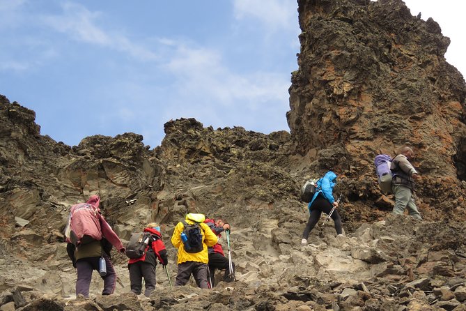 The Ultimate 8-day Lemosho route Climbing Kilimanjaro - Day 4: Shira 2 to Lava Tower