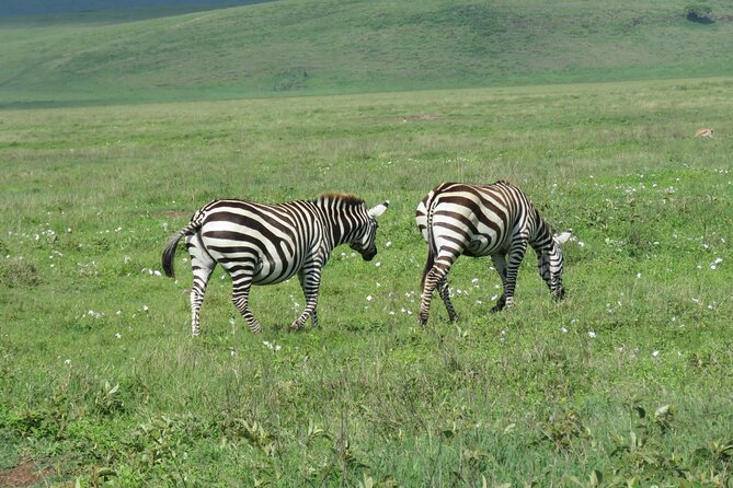 The World's Most Affordable 5-day Serengeti Budget Camping Safari - Day 2: The long road to Central Serengeti