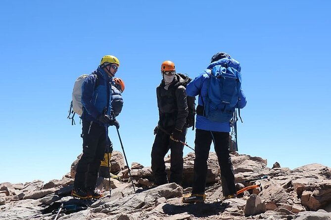 Top 5 Days Kilimanjaro Hiking | Climbing Tour by Marangu Route - Day 2: Giant lobelias on the way to Horombo Hut