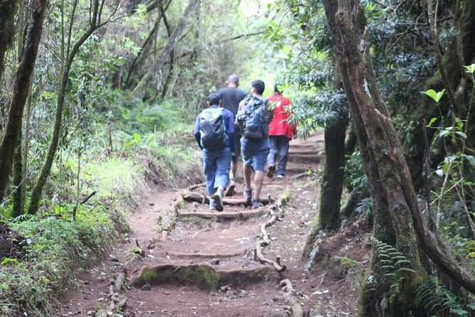 Top 5 Days Kilimanjaro Hiking | Climbing Tour by Marangu Route - What the $674 price really covers