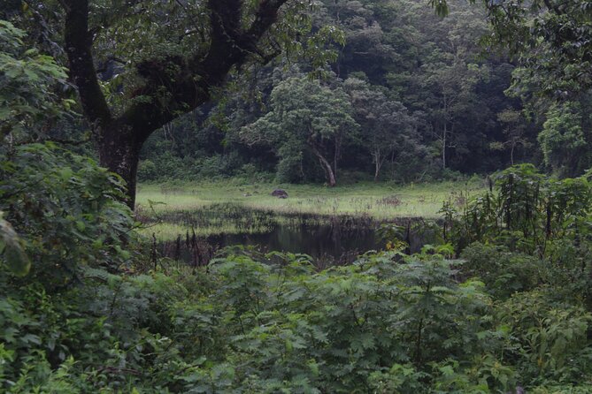 Tour at Arusha National Park - Morning game drive around the Momela Lakes