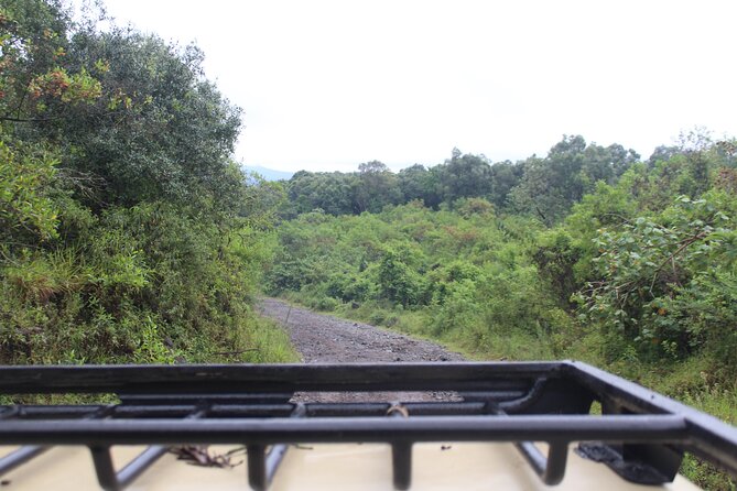 Tour at Arusha National Park - Ngurdoto Crater brings a different scale