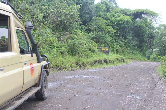 Tour at Arusha National Park - Picnic lunch inside the park