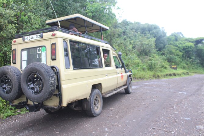 Tour at Arusha National Park - Walking and canoeing cost extra, but change the experience