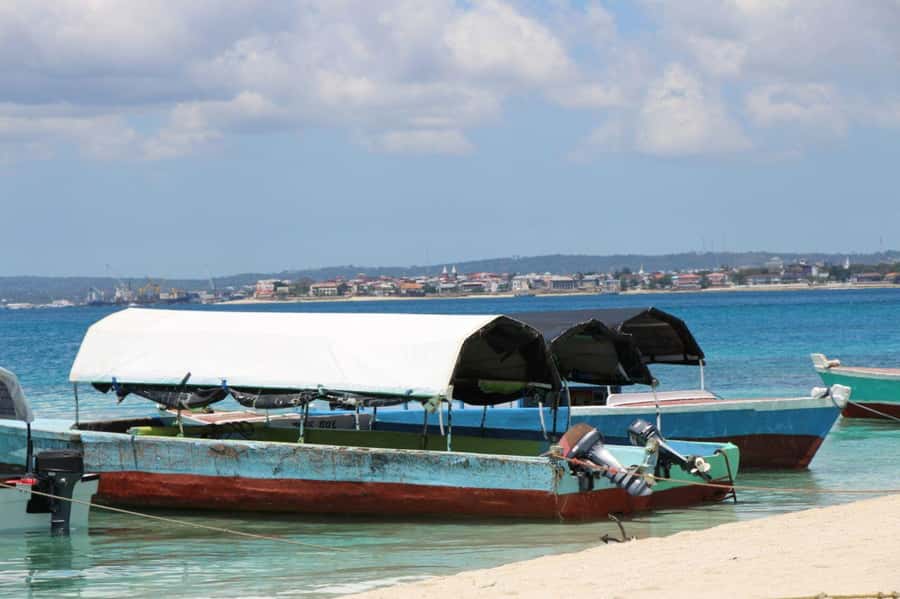 Tumbatu island snorkling tour : from Kendwa & Nungwi - Who will enjoy this Tumbatu trip?