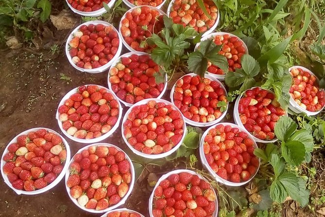 Uluguru mountain overnight 2 nights 3 days - Day three: the walk back to Morogoro