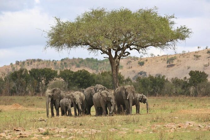 Unforgettable Tanzania Safari And Zanzibar Beach - Three Serengeti days give the safari room to breathe