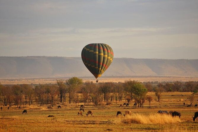 Unforgettable Tanzania Safari And Zanzibar Beach - Tarangire brings elephants and baobabs on day two