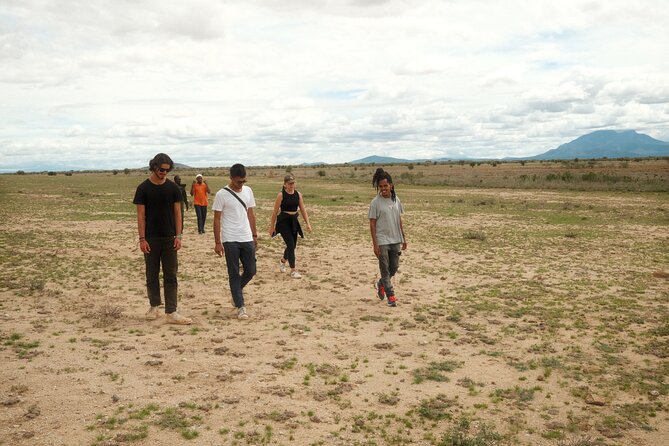Walking Day Tour to Safari in Arusha National Park - Key points to know before booking