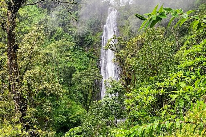 Waterfall, coffee tour & hot springs - lunch and drinks included - How Frank shapes the day