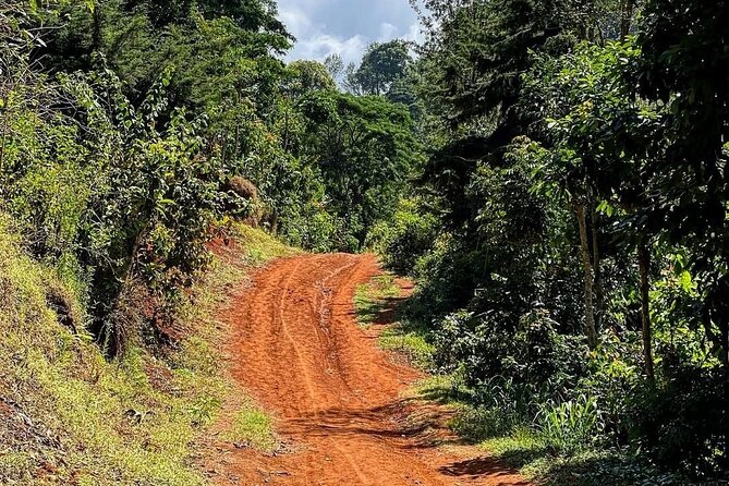 Waterfall, coffee tour & hot springs - lunch and drinks included - Practical planning for the waterfall and spring