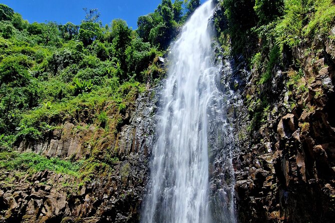 Waterfall, coffee tour & hot springs - lunch and drinks included - Should you book the Materuni and Kikuletwa combination?