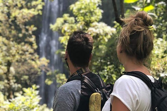Waterfall & Coffee Walking Tour - Leaving Arusha for the Kilimanjaro foothills