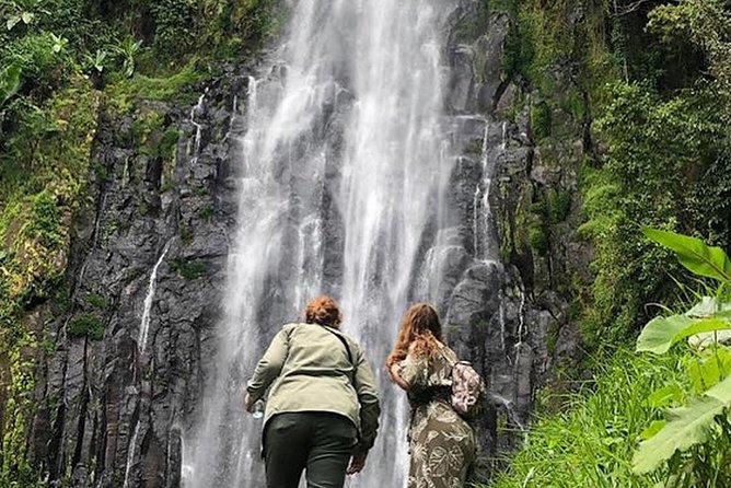 Waterfall & Coffee Walking Tour - Is $150 per person good value?