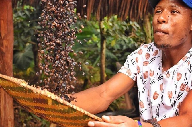 Waterfalls, Coffee, Hotsprings, Food Cuisine, & Serval Wildlife - Key points to know before booking