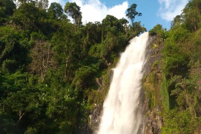 Waterfalls, Coffee, Hotsprings, Food Cuisine, & Serval Wildlife - Why this Arusha day trip is different