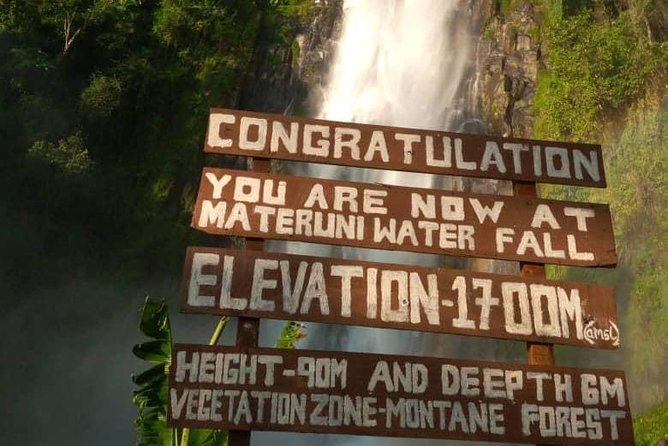 Waterfalls, Coffee, Hotsprings, Food Cuisine, & Serval Wildlife - Walking through Materuni village to the waterfall