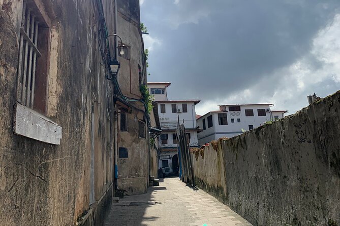 Welcome Zanzibar : A Journey through time for the Old Town - Optional rooftop views and sunset timing