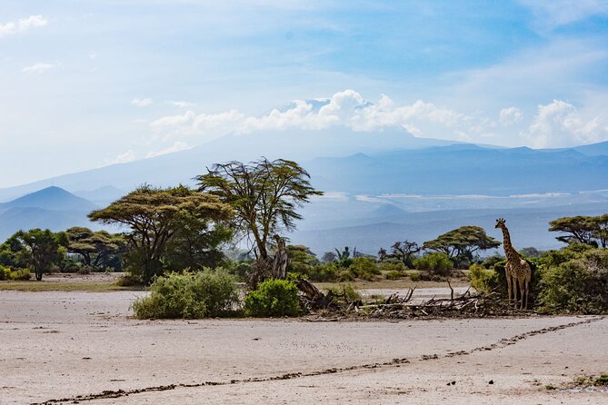 West Kilimanjaro cycling Adventures - Camping, meals, and support
