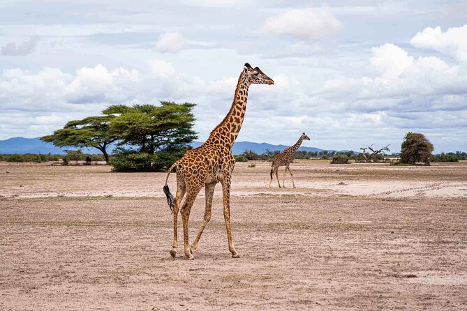 West Kilimanjaro cycling Adventures - Is the $666.67 price good value?