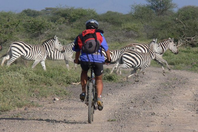 West Kilimanjaro cycling Adventures - The views, animals, and Maasai setting