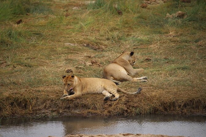 Wildlife Extravaganza: Manyara, Tarangire & Ngorongoro in 3 Days - Three parks, three very different safari moods