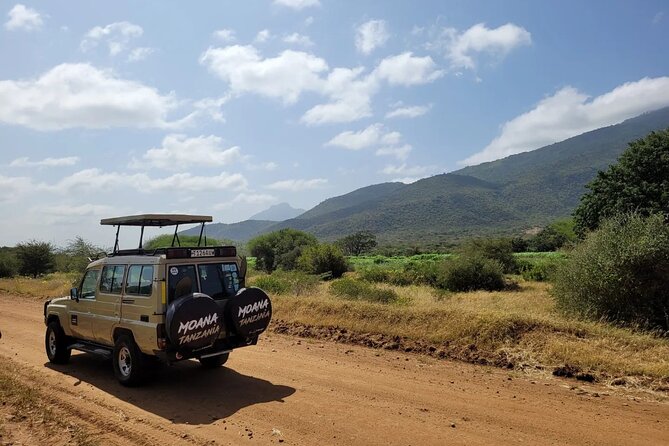 Wildlife Safari Tanzania - Day 3: A full game drive in North Serengeti