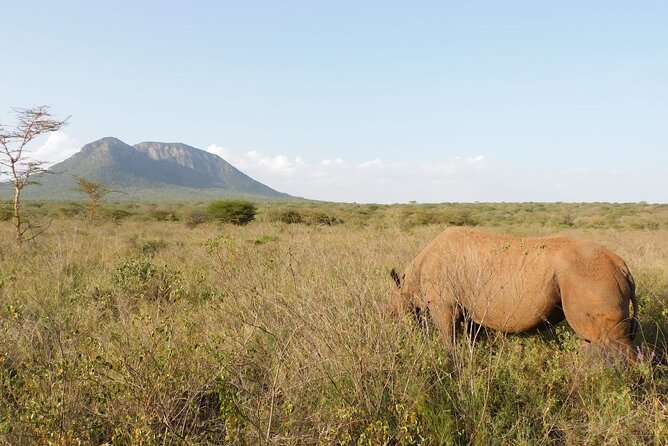 Wildlife Safari Tanzania - What the $3,100 price includes