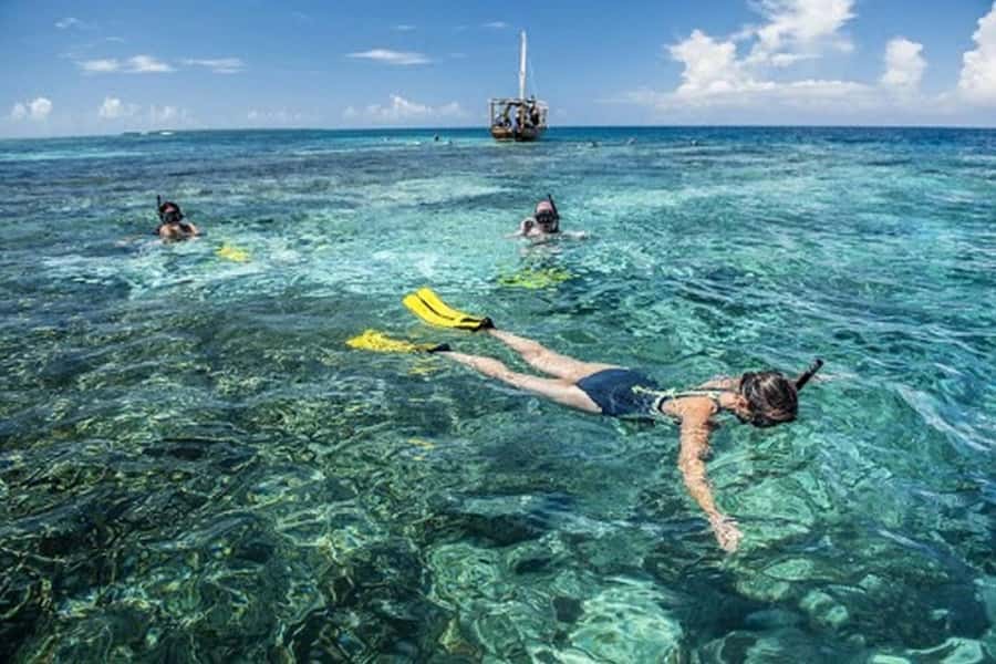 Zanzibar : 1 Day Blue Safari, Blue horizon experience - First Stop: A Sandbank for Snorkeling and Fresh Fruit