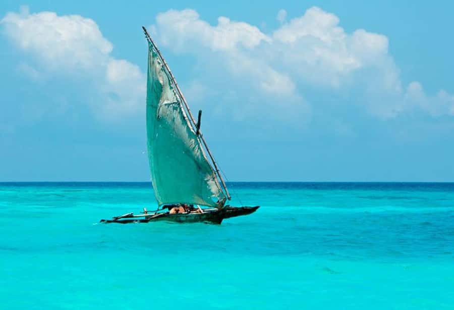 Zanzibar : 1 Day Blue Safari, Blue horizon experience - Guides, Equipment, and Practical Comfort