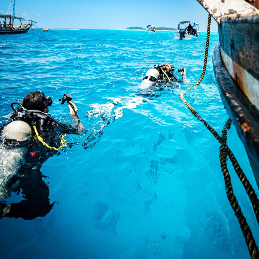 Zanzibar: 1 Day Blue Trip with 2 Stunning Scuba Dives - Two Indian Ocean sites instead of one