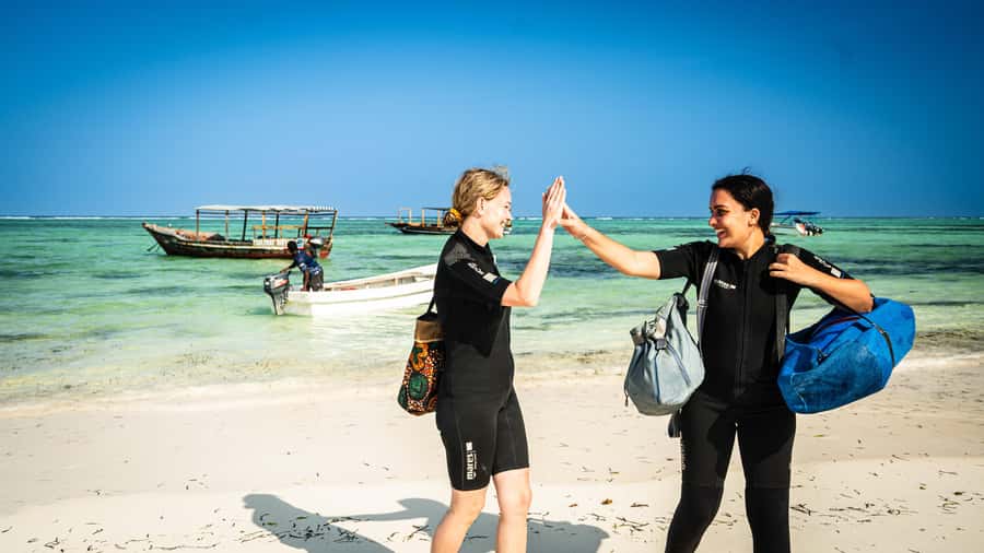 Zanzibar: 1 Day Blue Trip with 2 Stunning Scuba Dives - Who should book this Matemwe scuba outing?