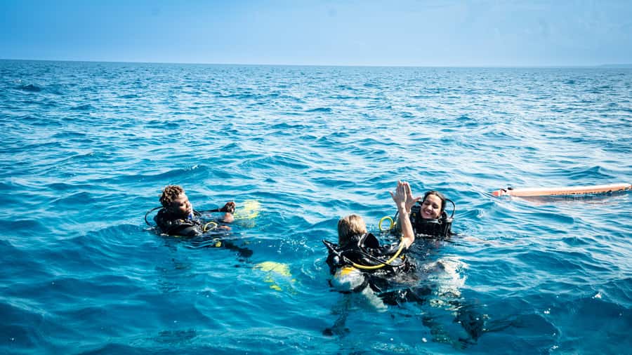 Zanzibar: 1 Day Blue Trip with 2 Stunning Scuba Dives - Practical ways to improve your morning