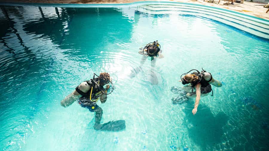 Zanzibar 1 Day Scuba Diving Course for Beginners with Lunch - Two open-water sessions in the Indian Ocean