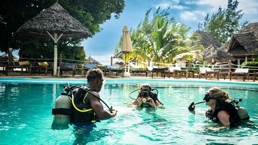 Zanzibar 1 Day Scuba Diving Course for Beginners with Lunch - Who should book this experience?