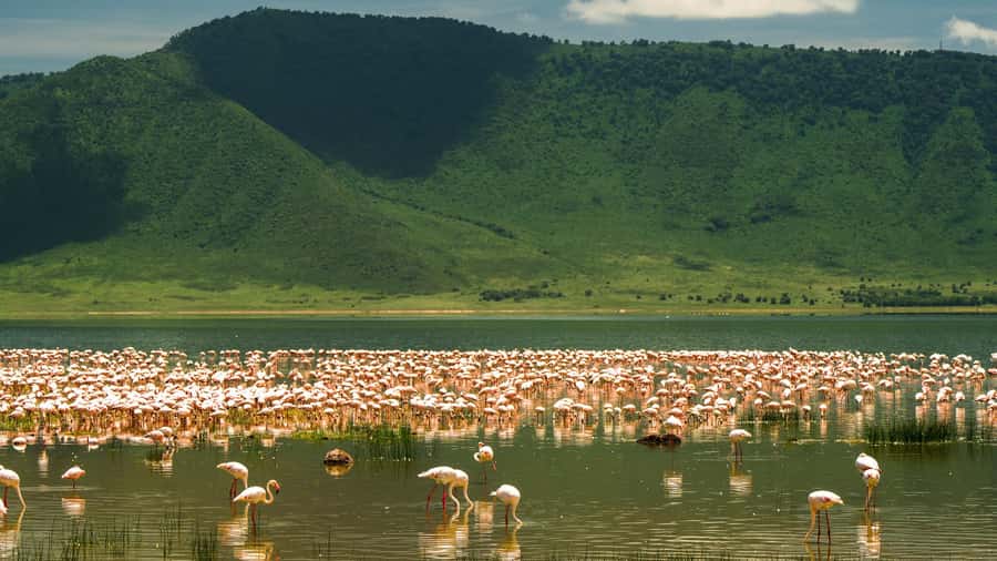 Zanzibar: 3-Day Northern Safari with Flights Included - What the $1,989 price includes
