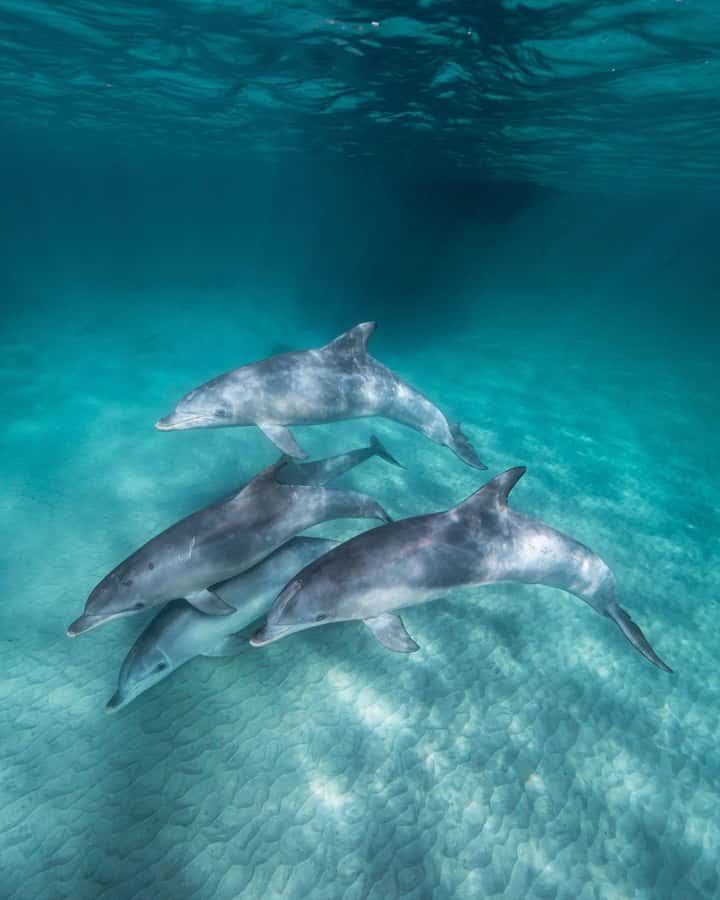 Zanzibar: 3-Day Tour with Snorkeling Adventure with Lunch - Key points to know before booking