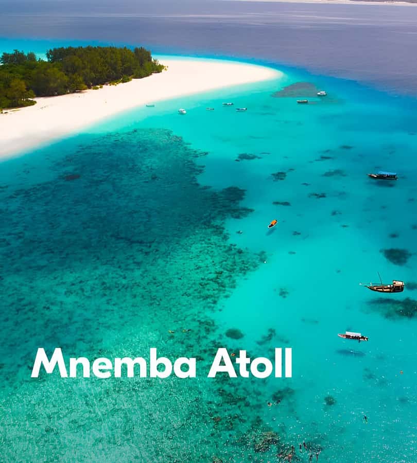 Zanzibar: 3-Day Tour with Snorkeling Adventure with Lunch - Prison Island and the giant tortoises