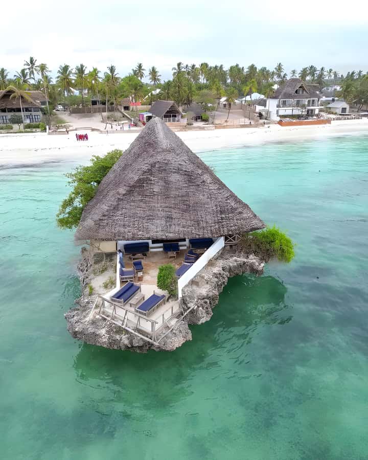 Zanzibar: 3-Day Tour with Snorkeling Adventure with Lunch - Jozani Forest and its red colobus monkeys