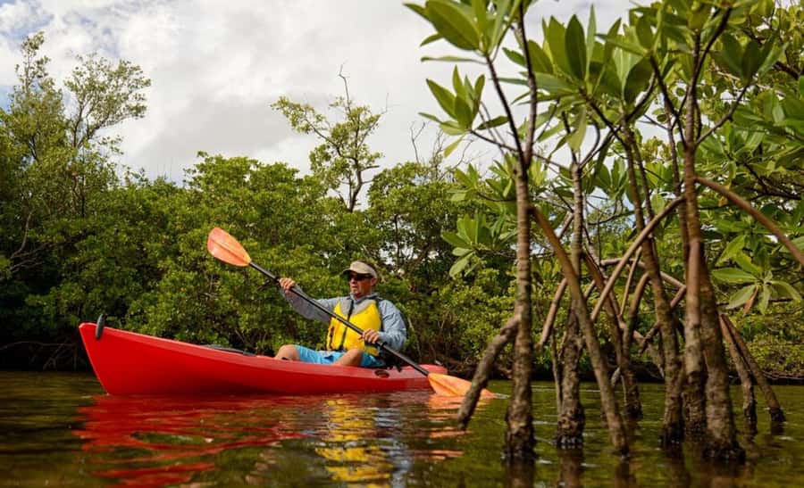 Zanzibar: 3-hour Kayak Tour through the Mangrove Forest - Why This Mangrove Tour Feels Different