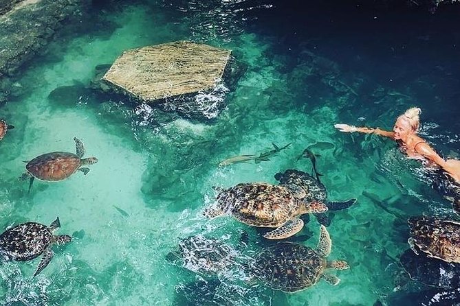 Zanzibar Adventures - Snorkeling equipment adds useful flexibility