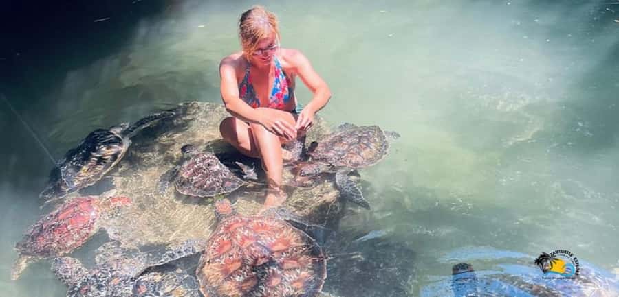Zanzibar: Baraka Aquarium Feed, Swim & Snorkel with Turtles - Key points to know before you book
