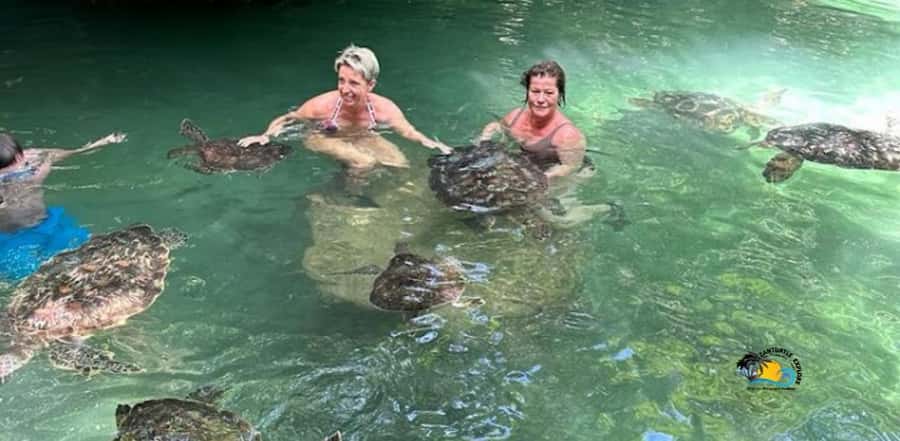 Zanzibar: Baraka Aquarium Feed, Swim & Snorkel with Turtles - What the guide adds to the visit
