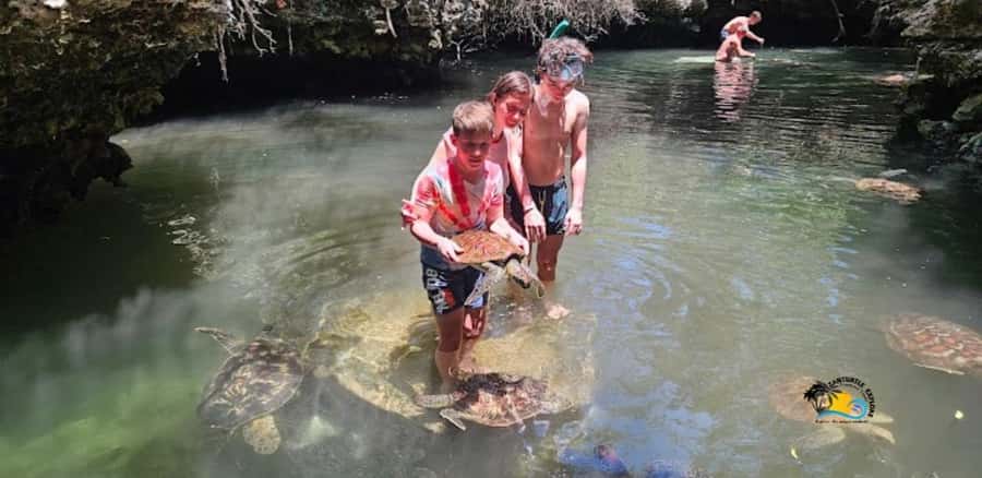 Zanzibar: Baraka Aquarium Feed, Swim & Snorkel with Turtles - Safety, comfort, and responsible contact