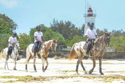 Beach Horseback Ride and Swim with the Horse