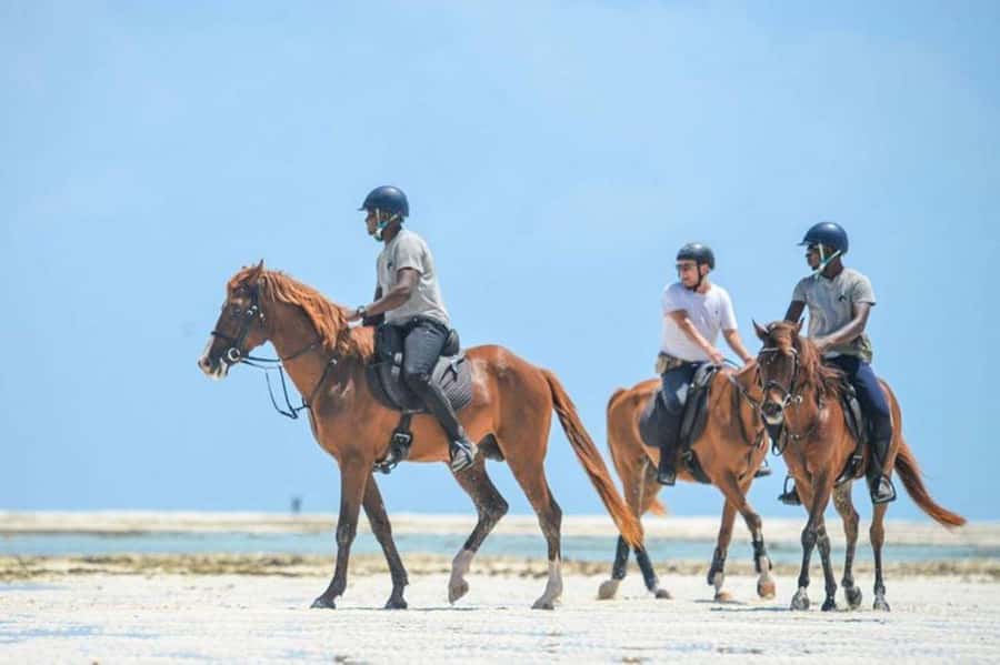 Zanzibar: Beach Horseback Ride and Swim with the Horse - The guides and the personal touch