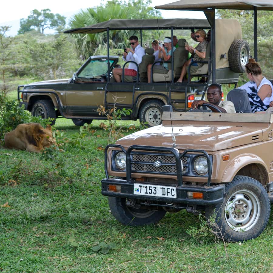 Zanzibar: Best Selous Day Safari with Flights & Lunch - What the strongest praise tells you